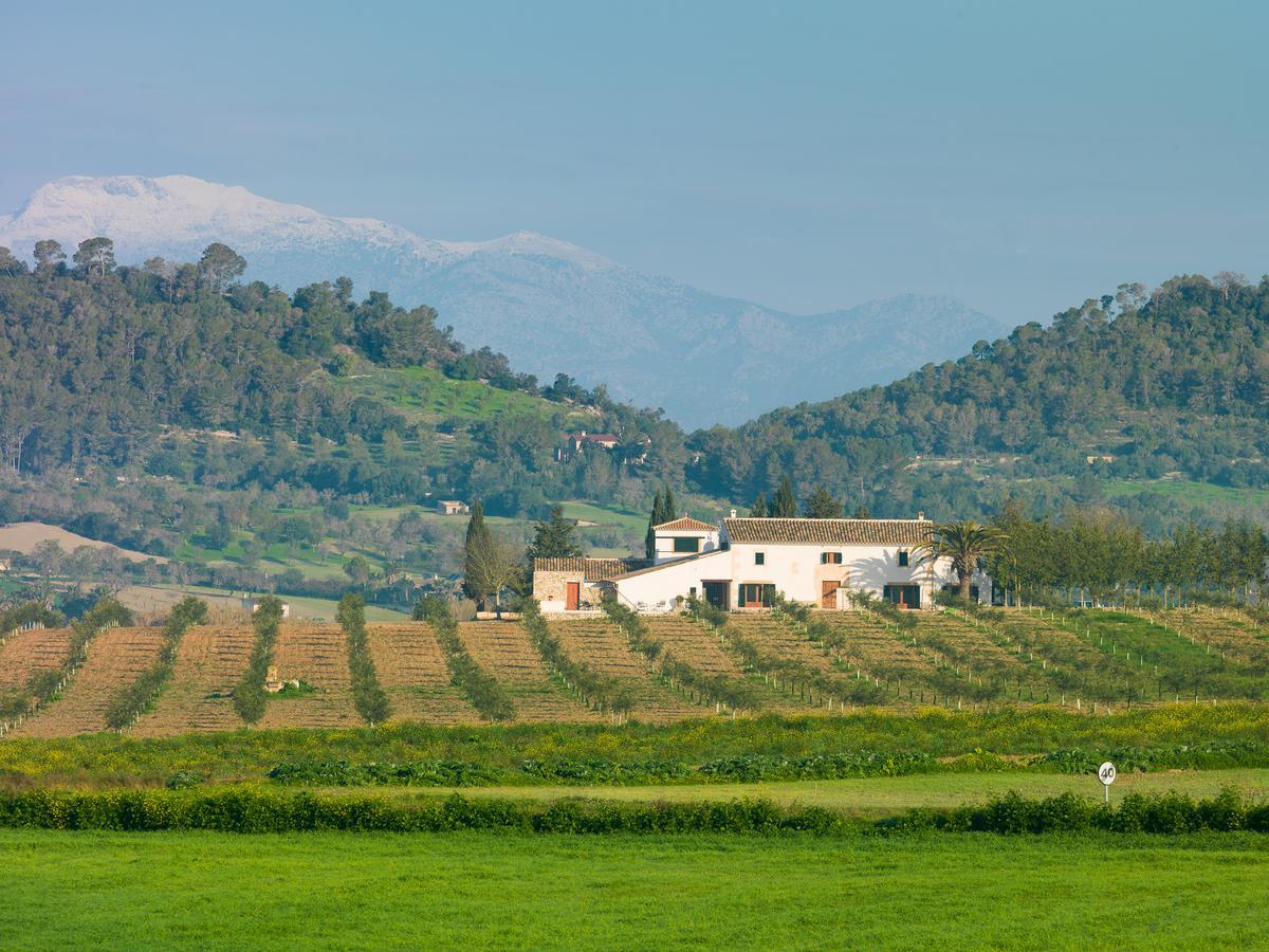 Agroturisme Gossalba Villa Sant Joan Exterior foto